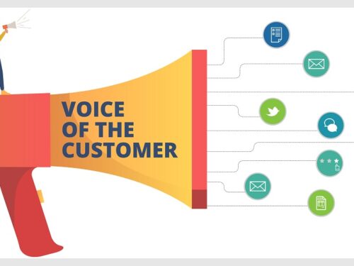 voice of customer